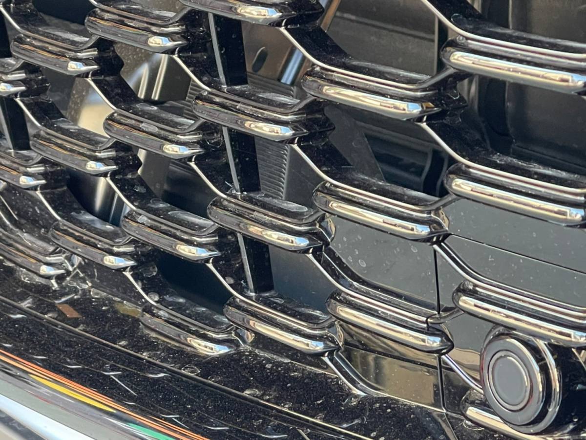 フロントグリルの汚れの除去