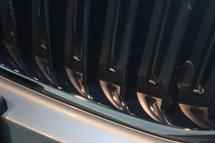 キドニーグリルのクリーニングとコーティング