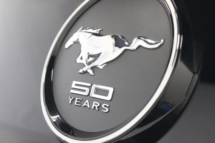 施工済みマスタングの完成イメージ