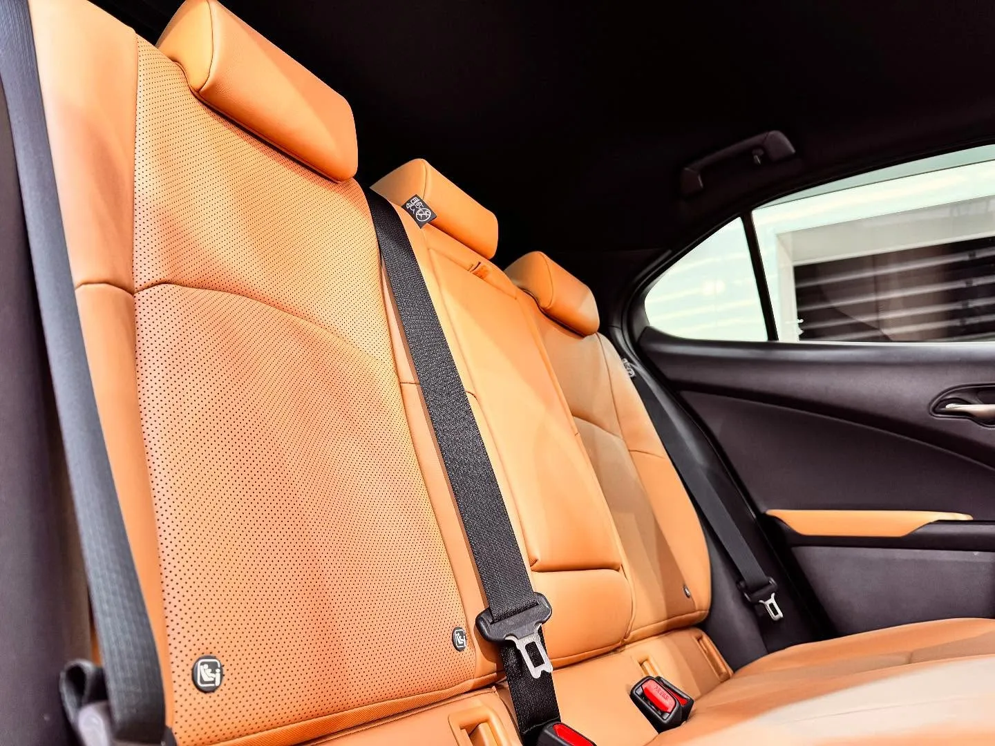 LEXUS UX300hのシートコーティング、フロント・リア...