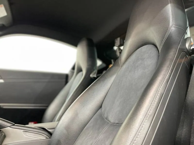 ザーとバックスキンのコンビネーションシート