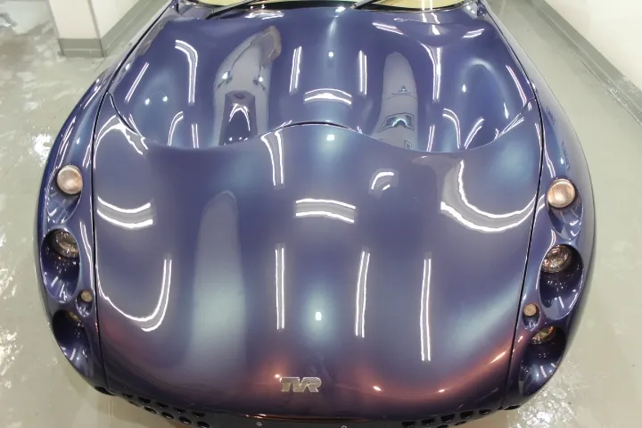 タスカンのカメレオン