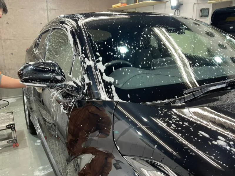 CHRのシャンプー洗浄とトラップ粘土での鉄粉処理