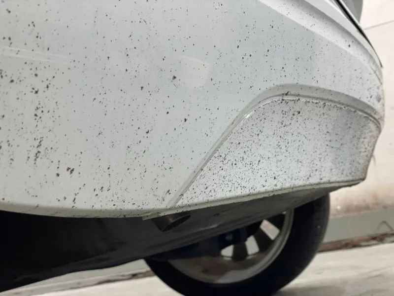 UP!のリアバンパー