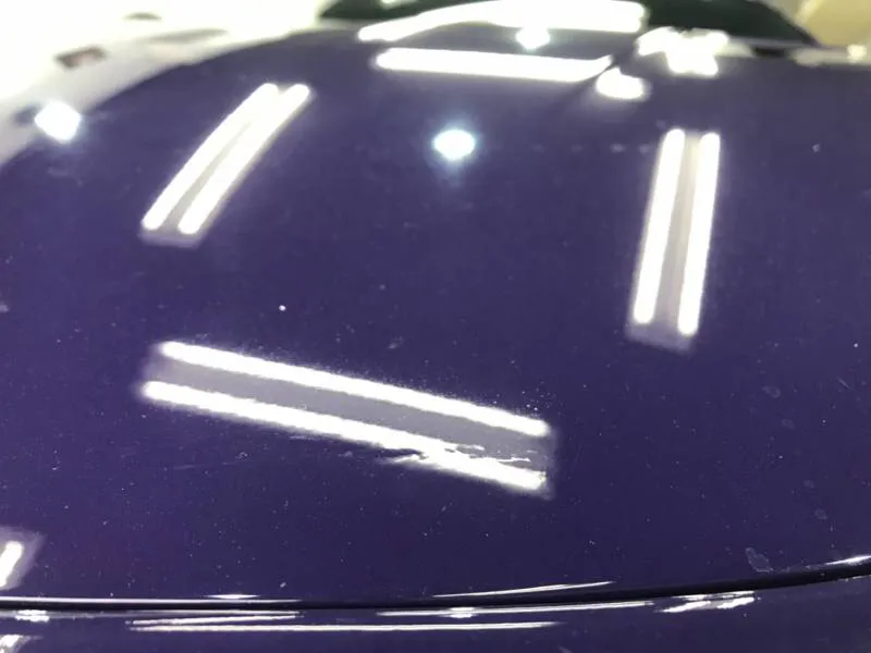 991後期と前期のフードの互換性