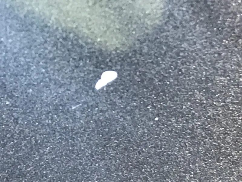 ペイントミスト被害を修復